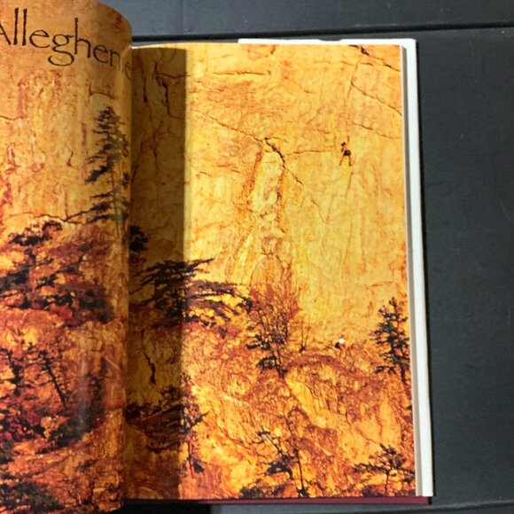 Wildlands of the Upper South Hardcover By Thompson, John M. - Picture 6 of 10